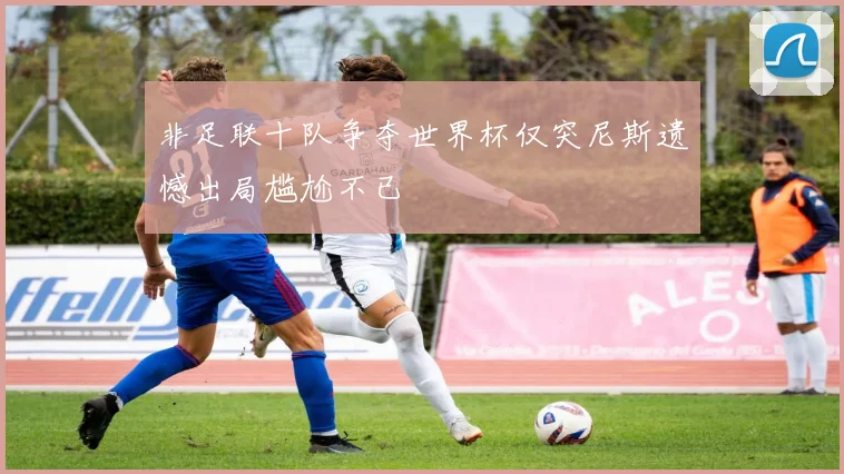 非足联十队争夺世界杯仅突尼斯遗憾出局尴尬不已